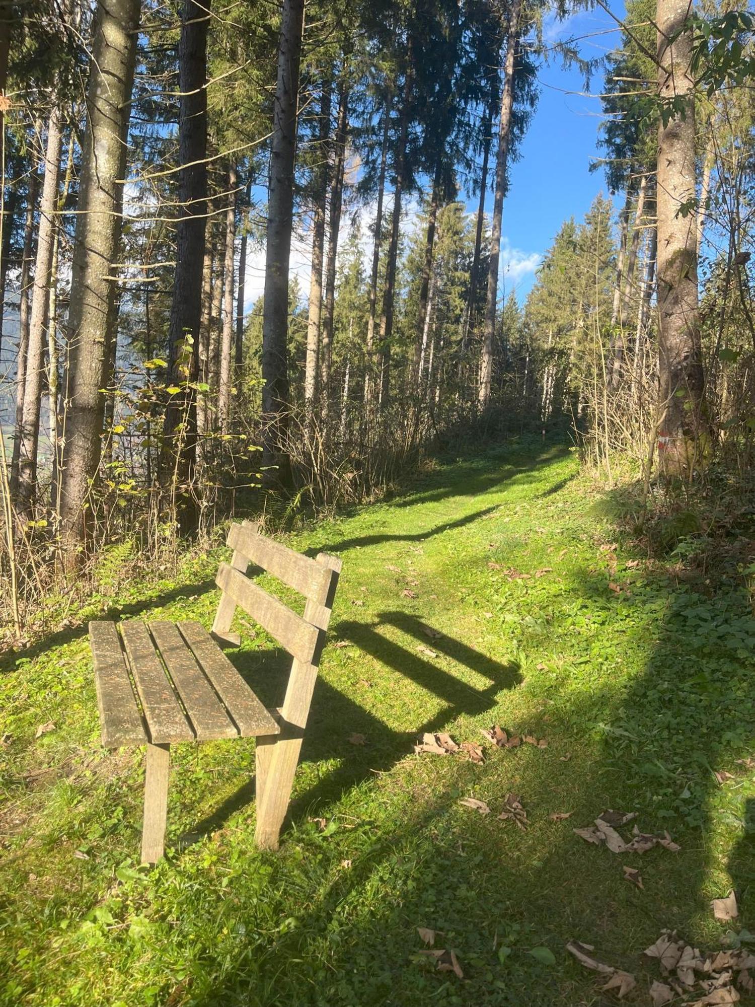 Haus Voglreiter - Inkl Sommerkarte, Zentrale Und Ruhige Lage, Garten Mit Spielplatz Kaprun Bagian luar foto