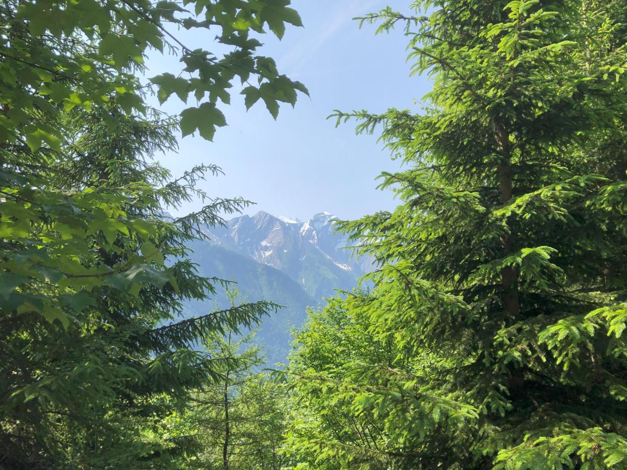 Haus Voglreiter - Inkl Sommerkarte, Zentrale Und Ruhige Lage, Garten Mit Spielplatz Kaprun Bagian luar foto